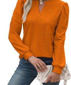 Women's Trendy Tunic V Neck Top CH26