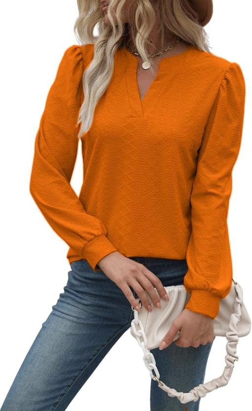 Women's Trendy Tunic V Neck Top CH26