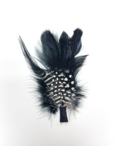 Swift Hat Feather