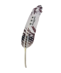 Valor Hat Feather